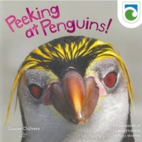 Peeking at Penguins