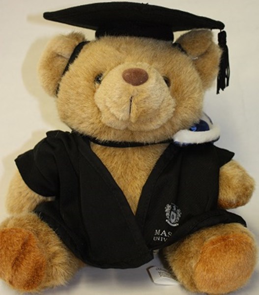 Degree bear